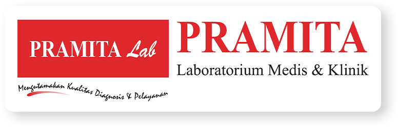 PT Pramita